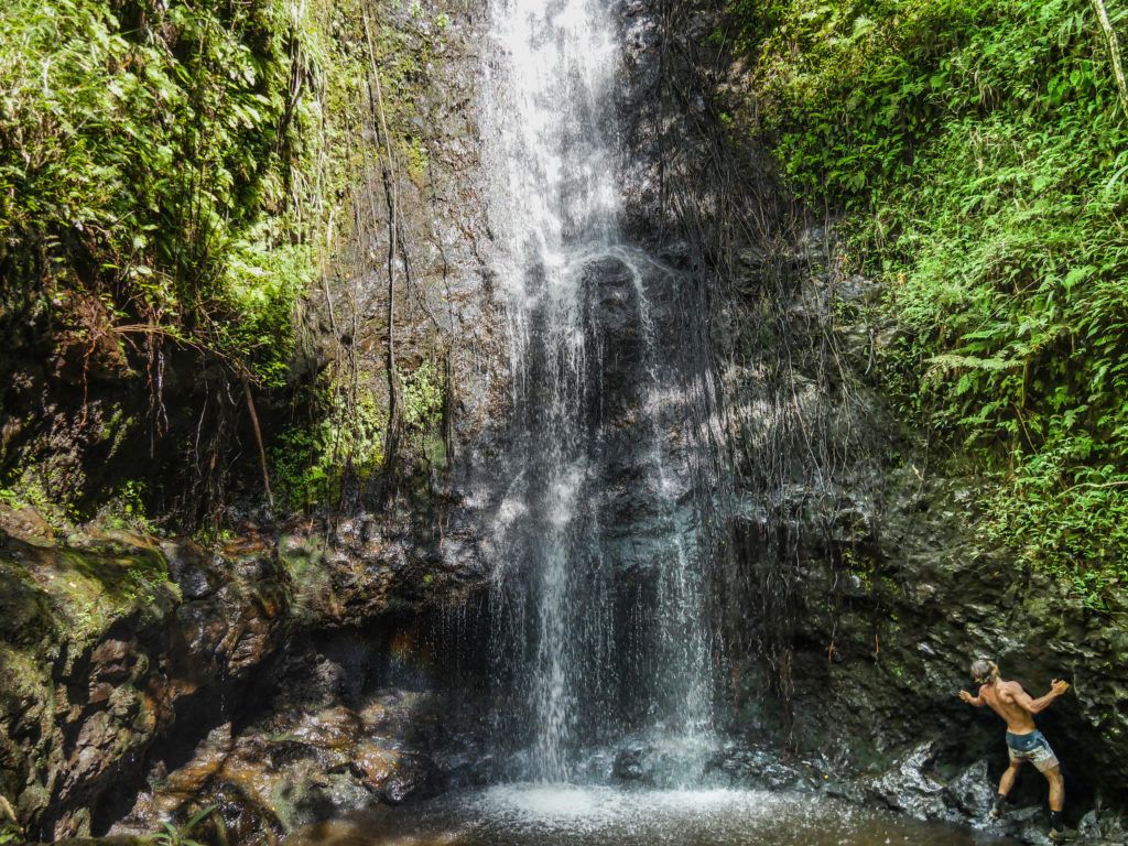 Ka'au Crater Trail Oahu, Hawaii-1050249