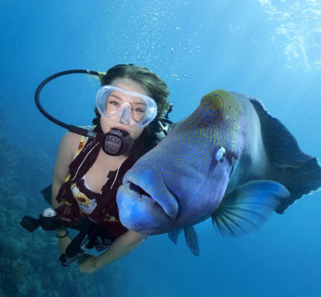 a picture of a picture of a picture of a picture of a picture of a